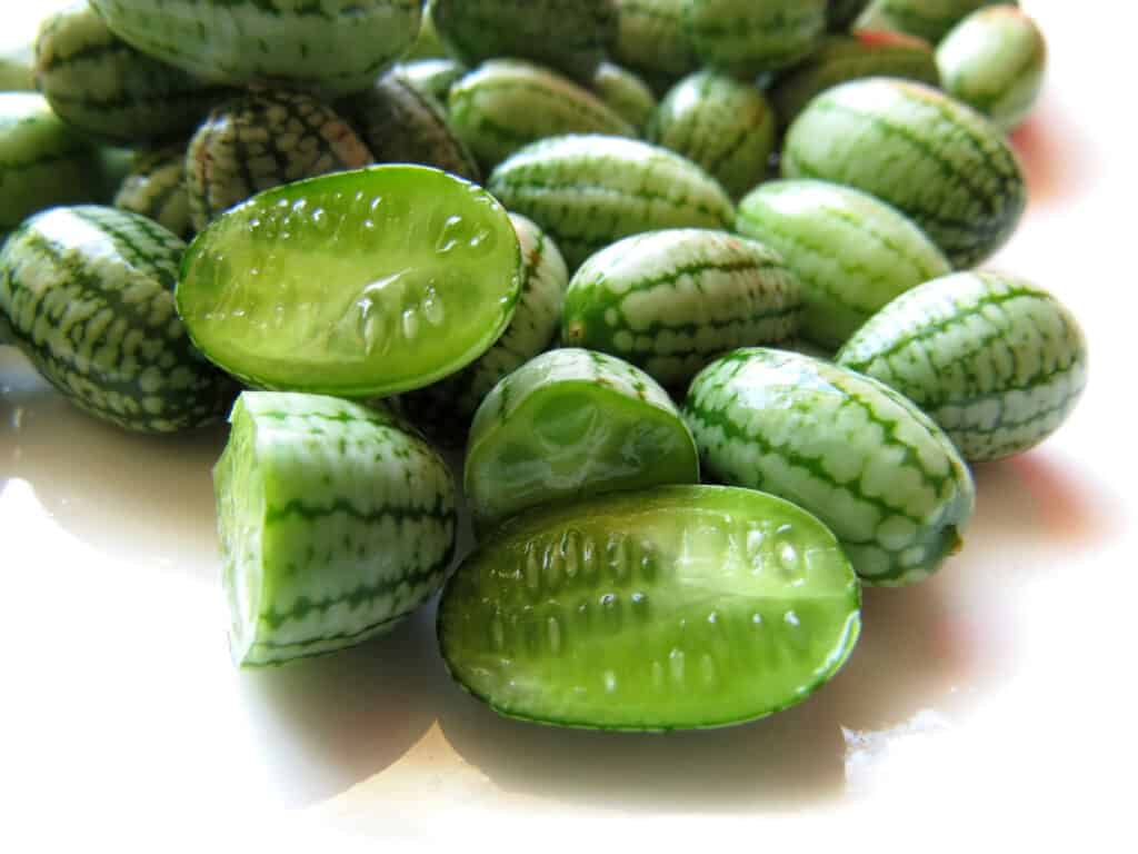 Semi di Cucamelon
