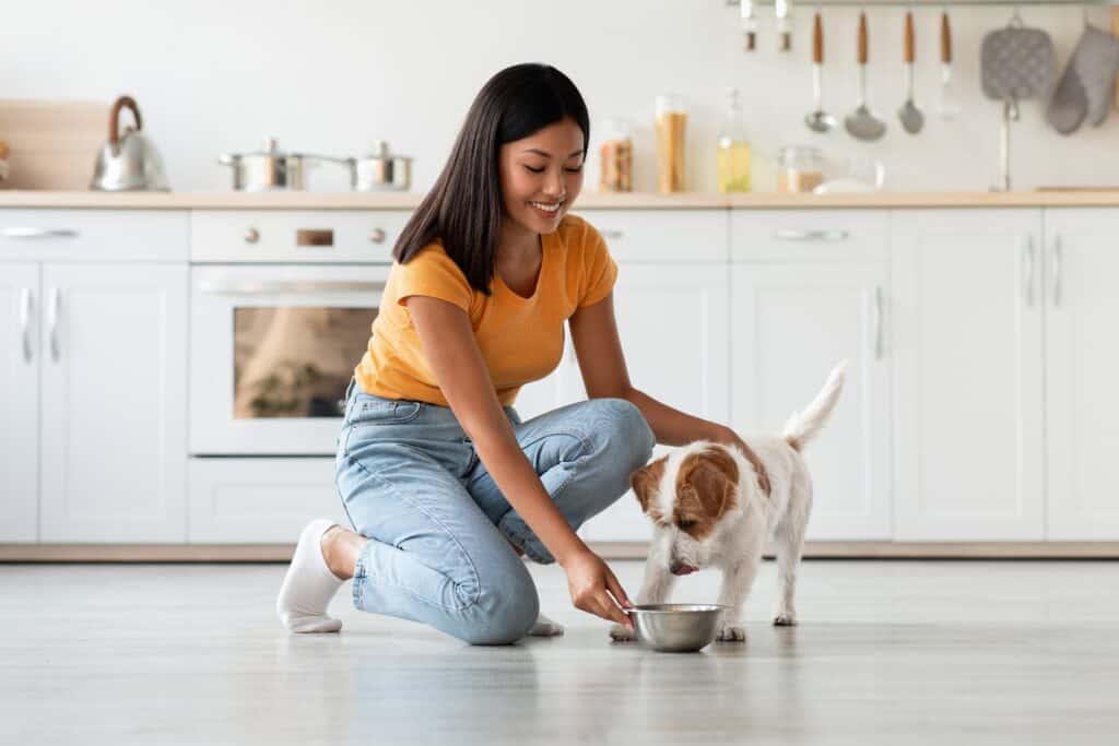 Donna che alimenta il cane