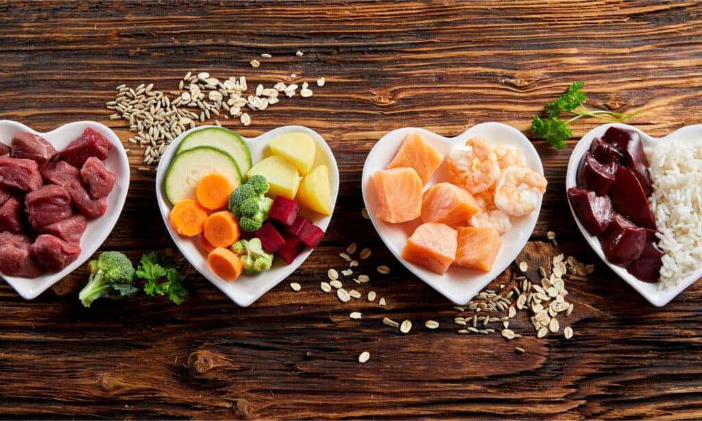 4 ciotole bianche a forma di cuore riempite con ingredienti salutari per cani