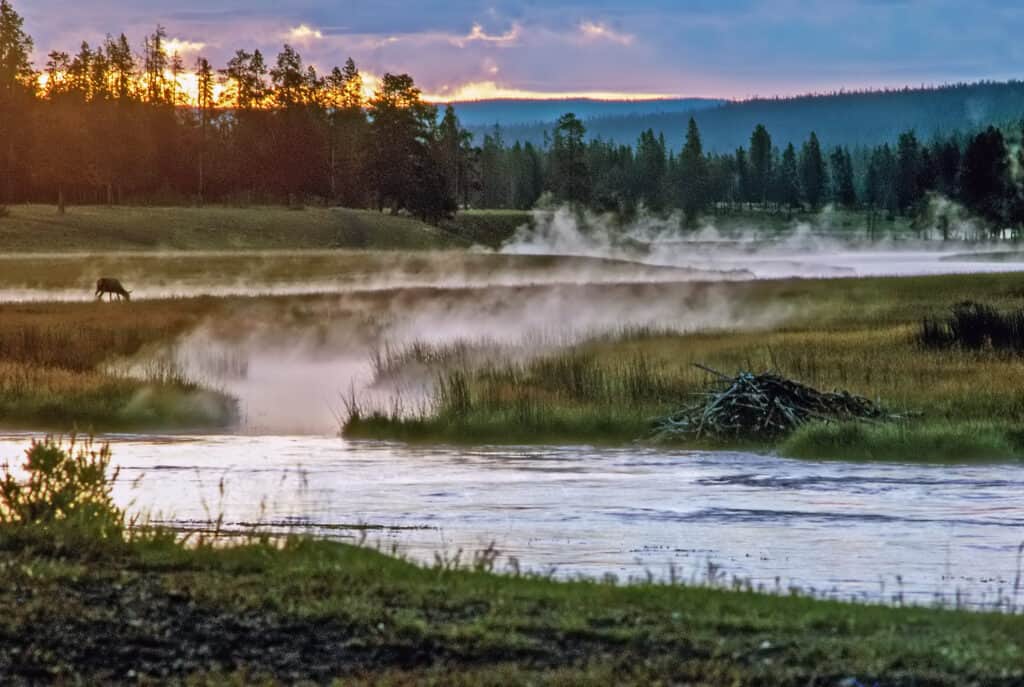 Il fiume Madison nel Parco Nazionale di Yellowstone