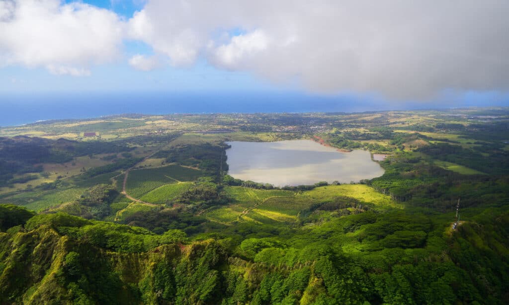 Grazie serbatoio Hawaii