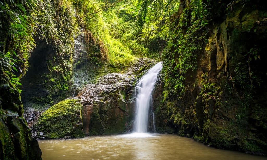 Cascate Maunawili