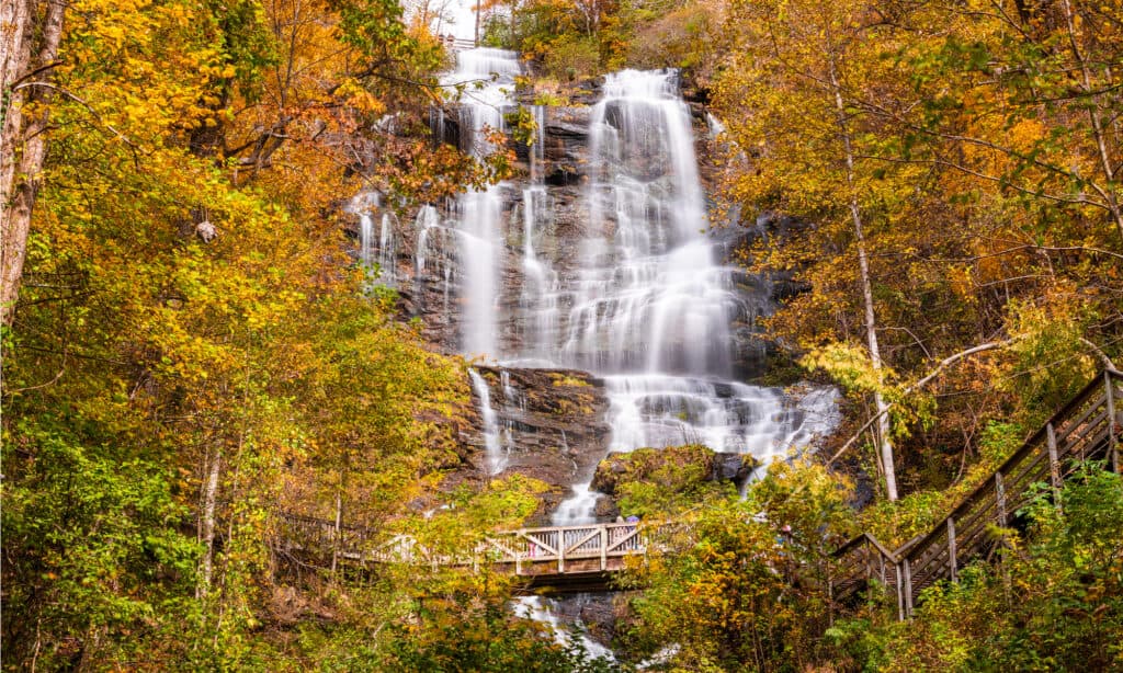 Cascate dell'Amicalola, Georgia