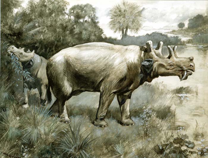 Eobasileo
