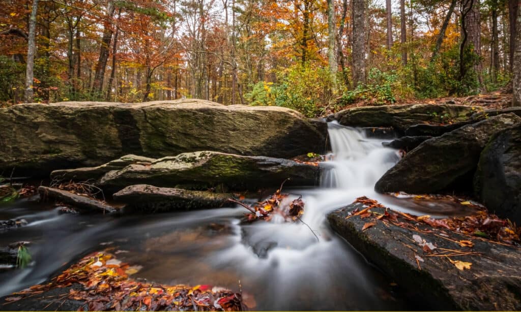Cheaha cade in Alabama