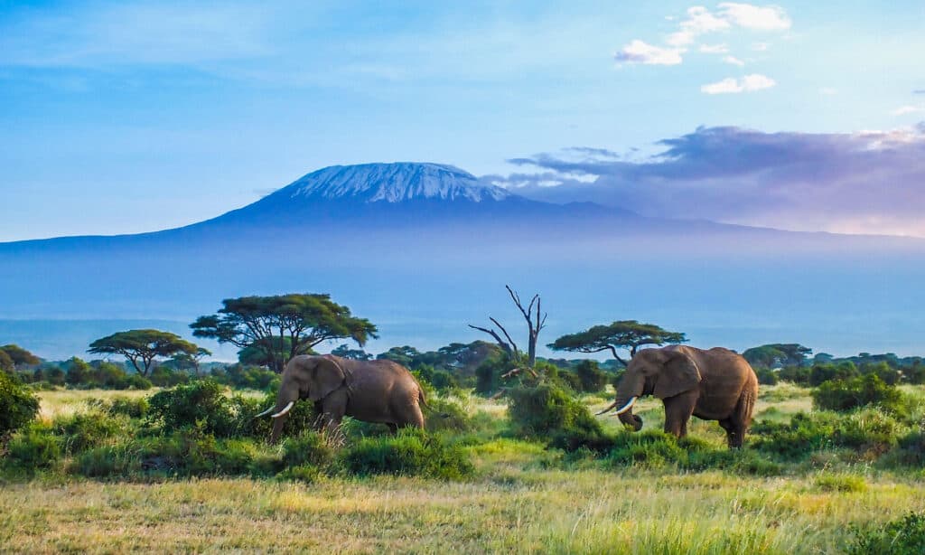 Monte Kilimangiaro, Tanzania