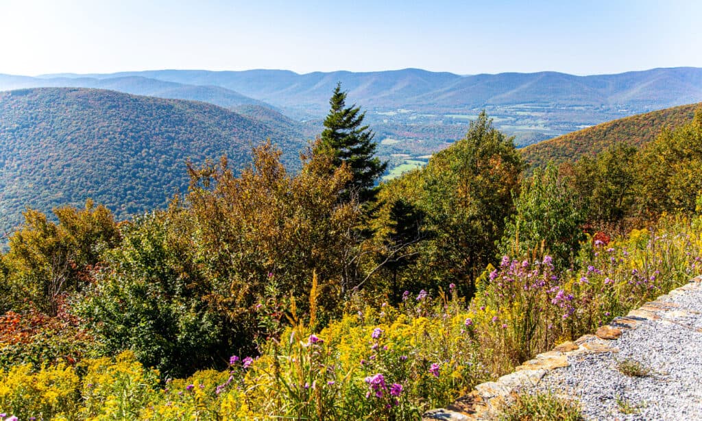 Monte Greylock