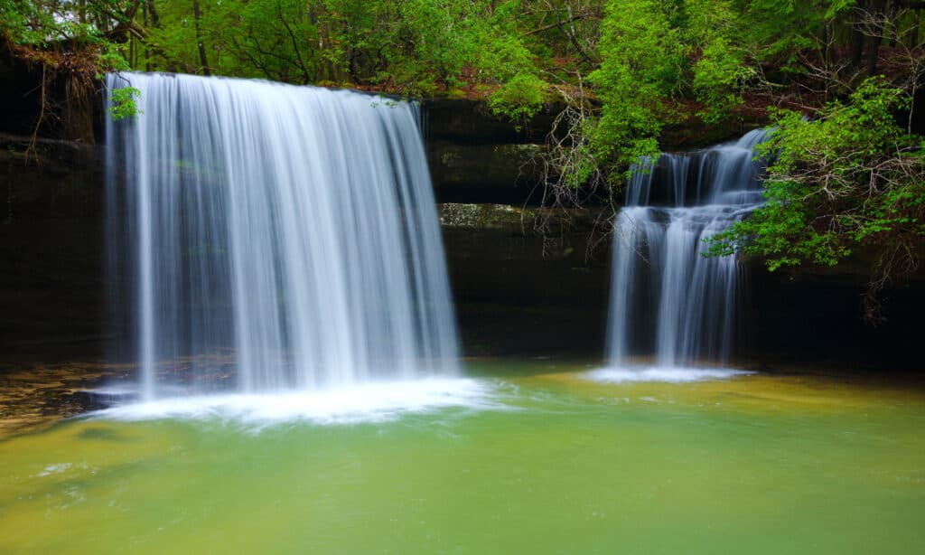 Caney Creek cade in Alabama