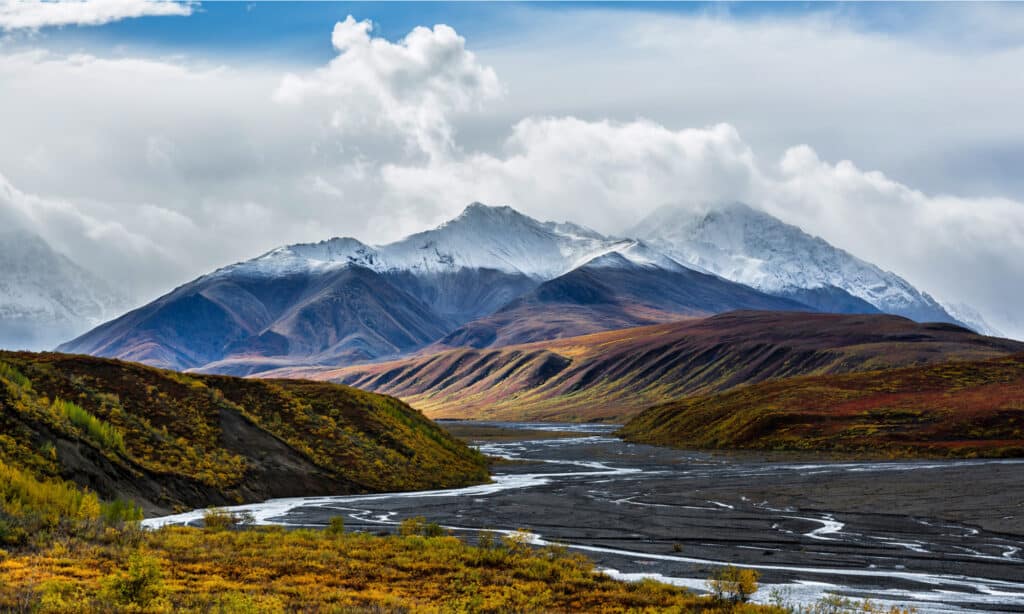 Parco nazionale di Denali