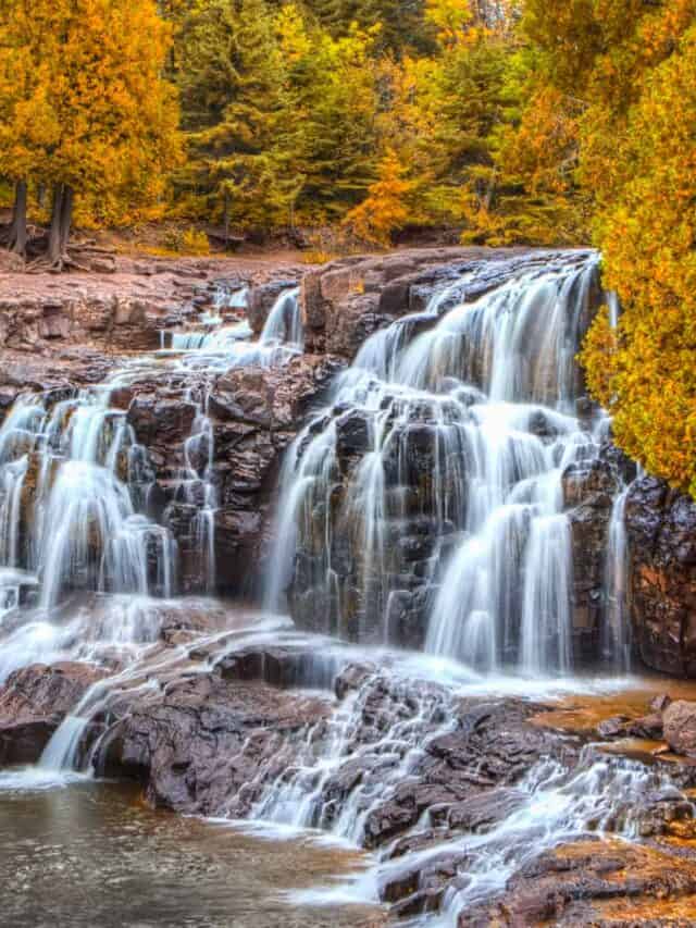 Cascate di uva spina