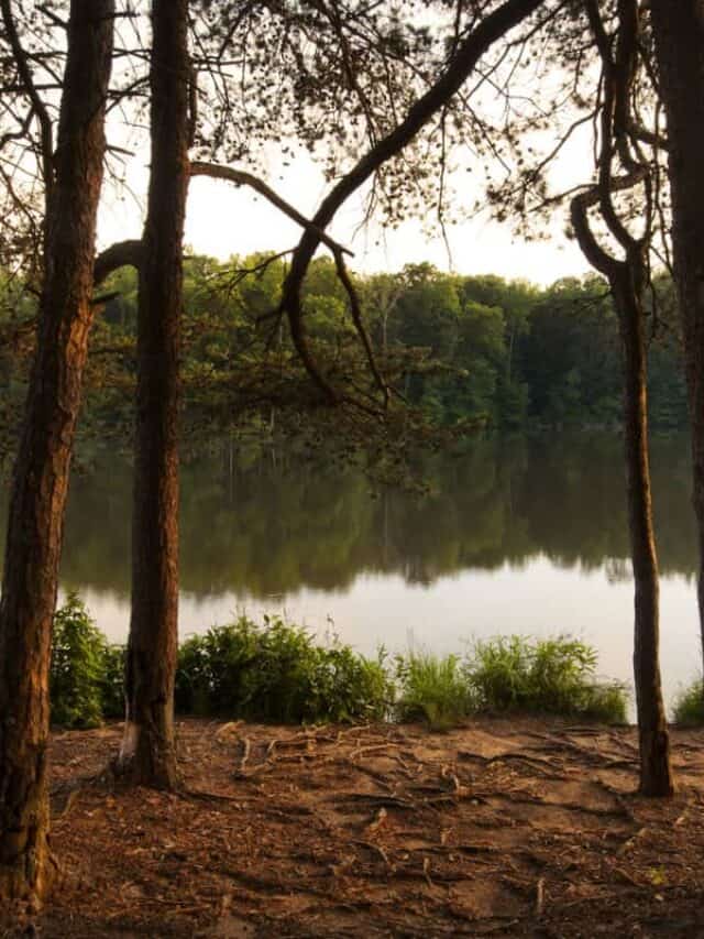 Lago Norman nel Piemonte della Carolina del Nord