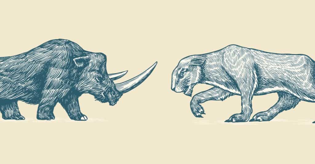 Il leone più grande è il rinoceronte lanoso e il leone delle caverne europeo