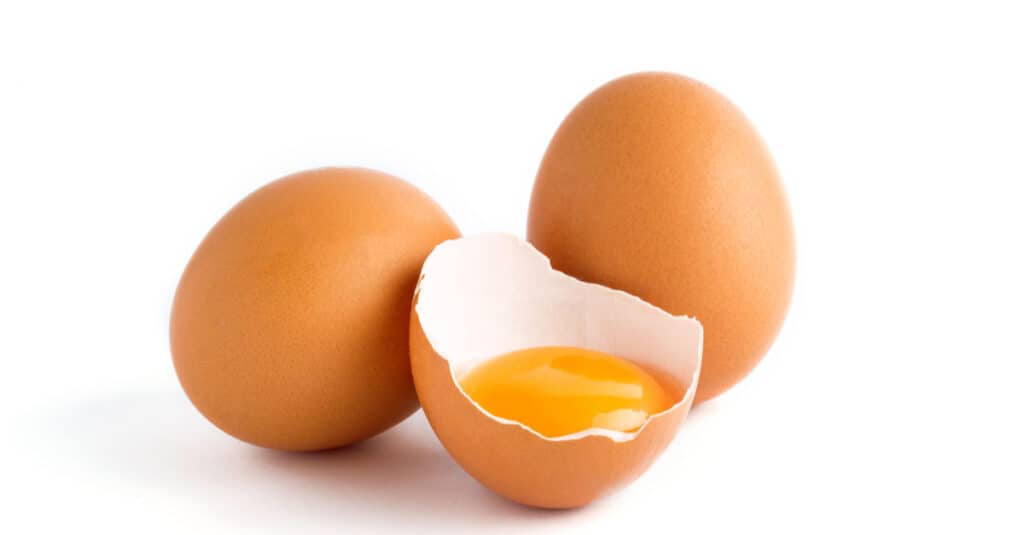 Uova di anatra contro uova di gallina - Uova di gallina
