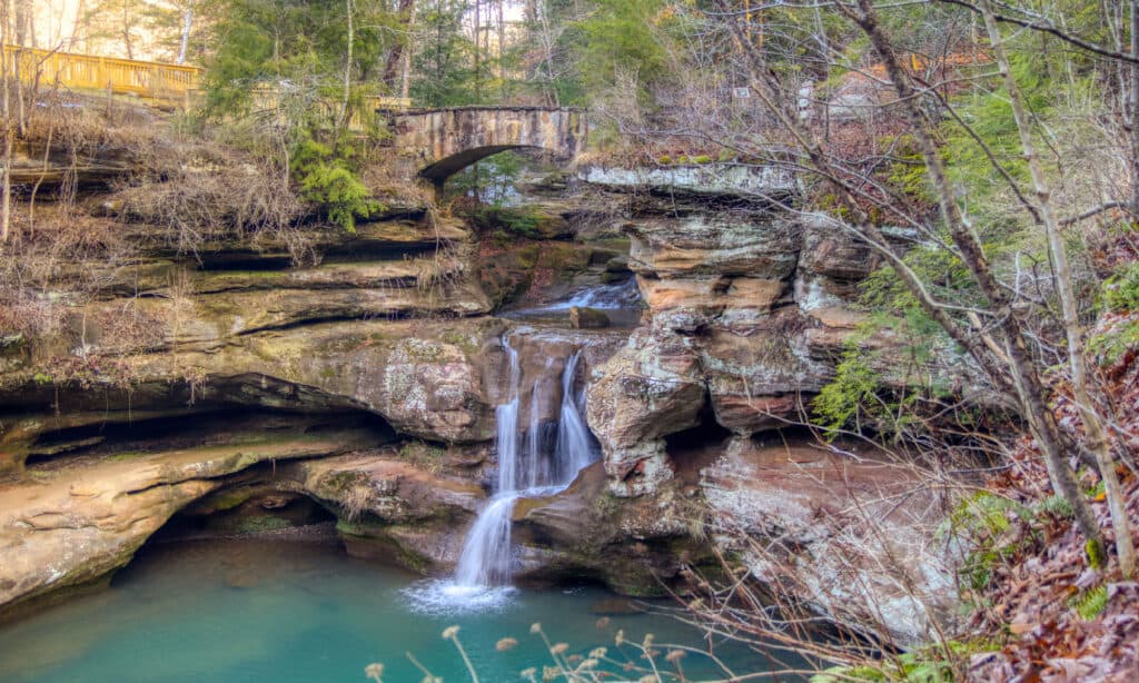 Cedro cade nell'Ohio