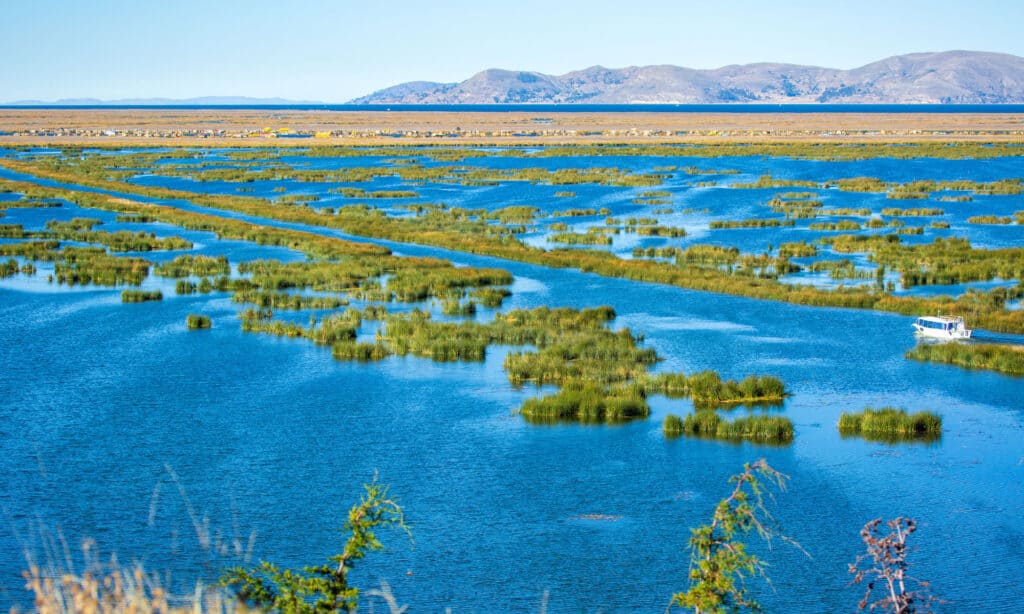 Lago Titicaca, Perù