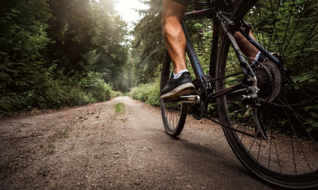 Ciclismo, Bicicletta, Mountain Bike, Mountain Bike