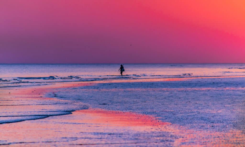 Spiaggia, India, Costa, Mar Arabico, Asia