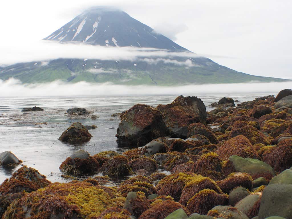 Monte Cleveland in Alaska