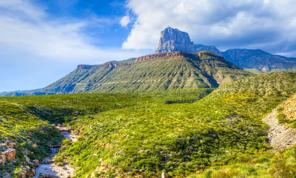 Montagne Guadalupe