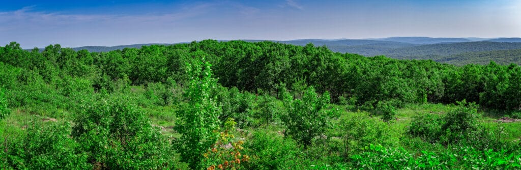 Ci sono 33 miglia dell'Ozark Trail nel Taum Sauk State Park.
