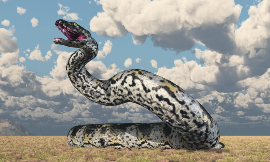 Titanoboa sui prati