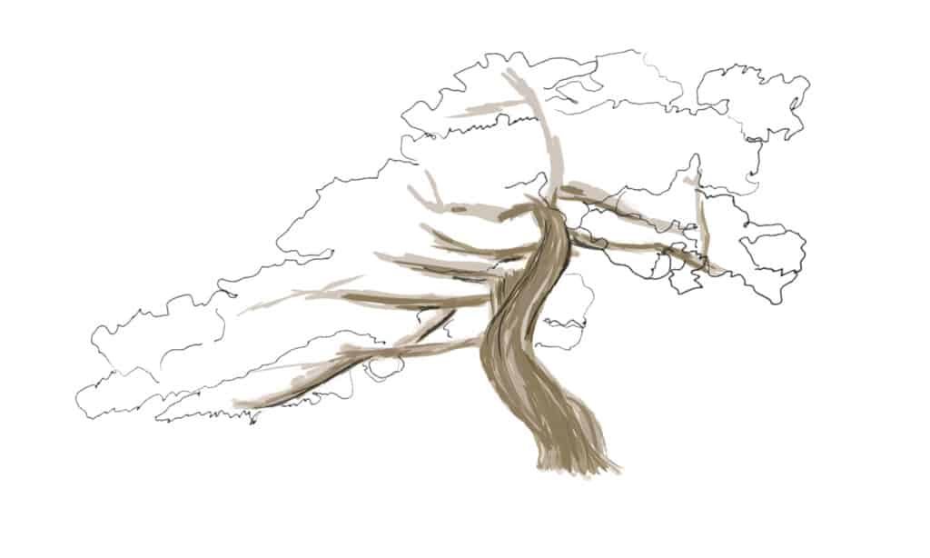 Costruire strati di colore