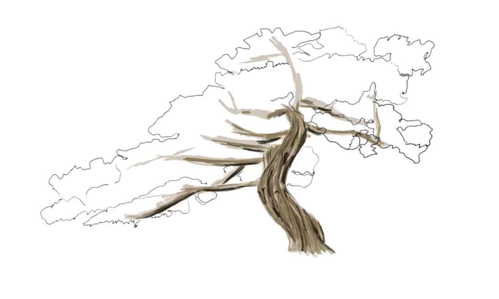 Aggiungi alcune ombre al tronco dell'albero