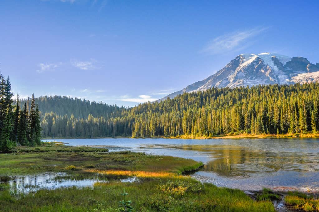 monte ranier