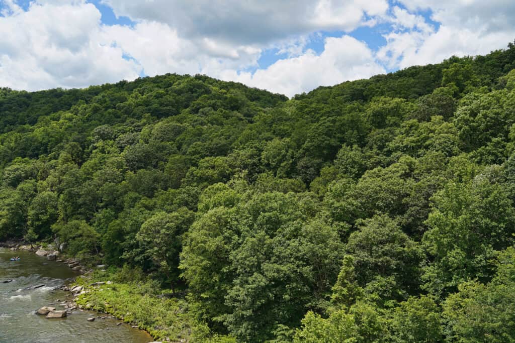 Parco statale dell'Ohiopyle