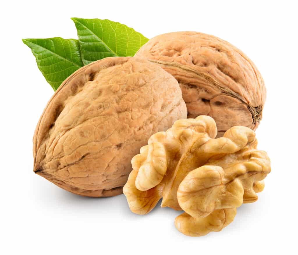 Noci