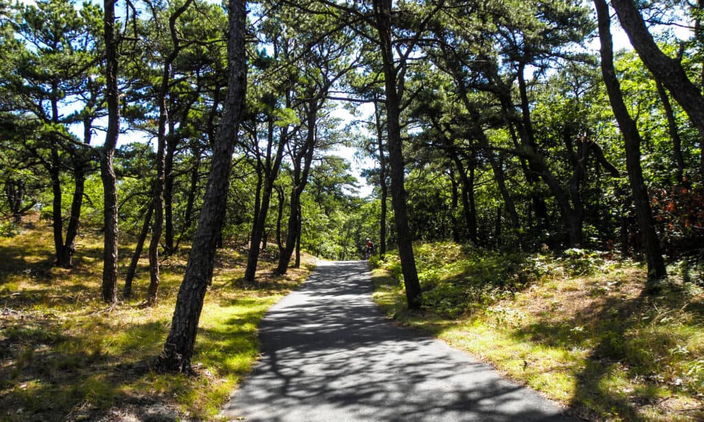 Sentiero ferroviario di Cape Cod