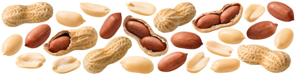 Arachidi con e senza gusci su sfondo bianco