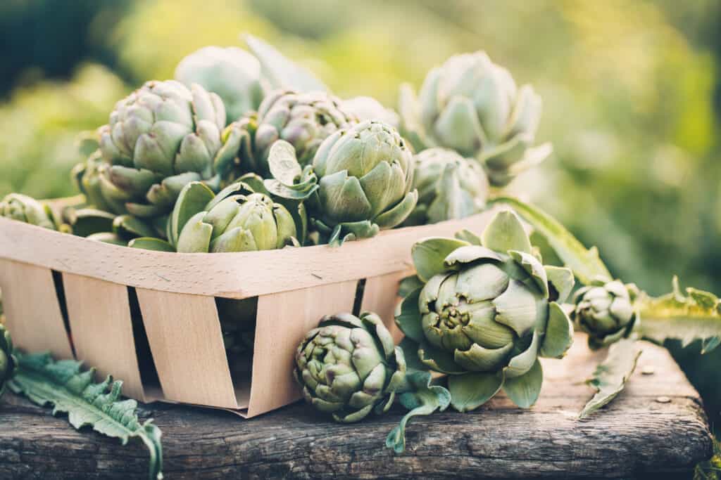 Carciofi in un cestino