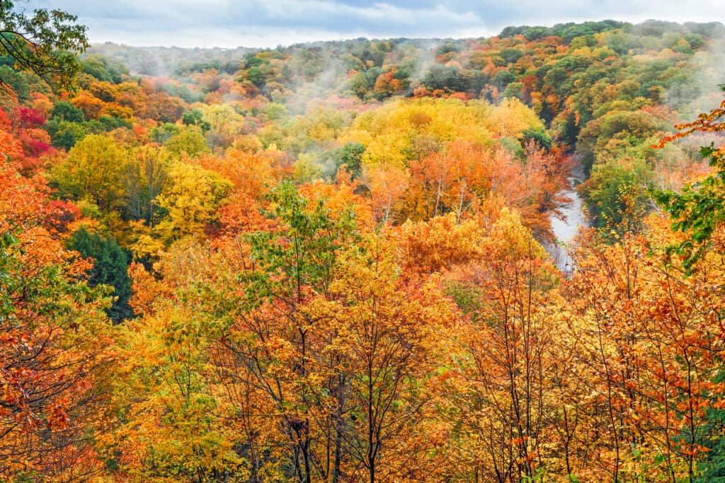 Fogliame autunnale nella valle di Cuyahoga