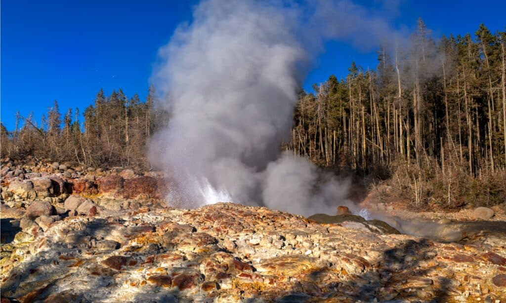 Yellowstone è un vulcano attivo