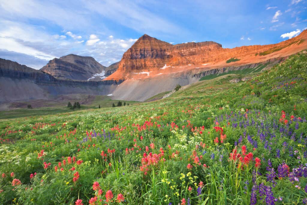 Primavera nello Utah