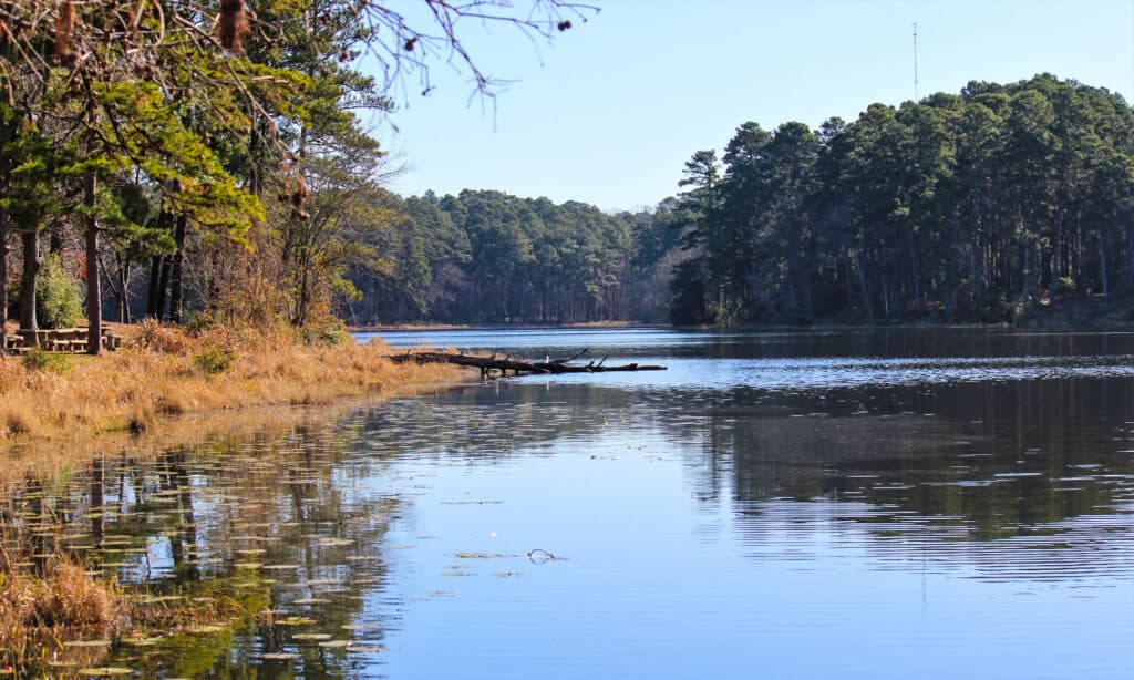 Parco statale di Daingerfield, Texas