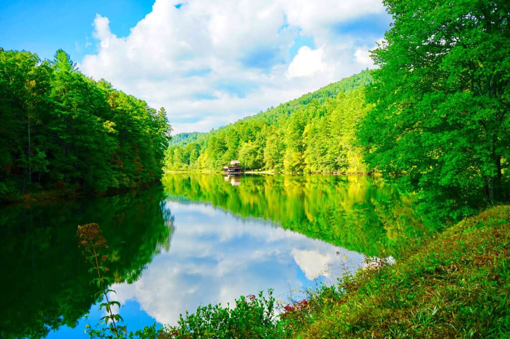 Lago Burton