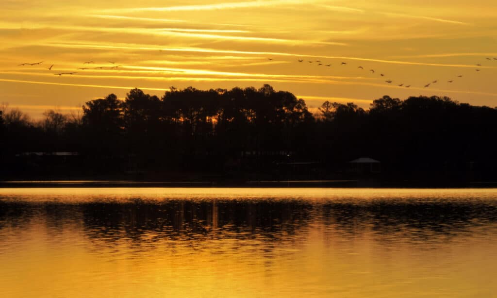 Lago Weiss Alabama