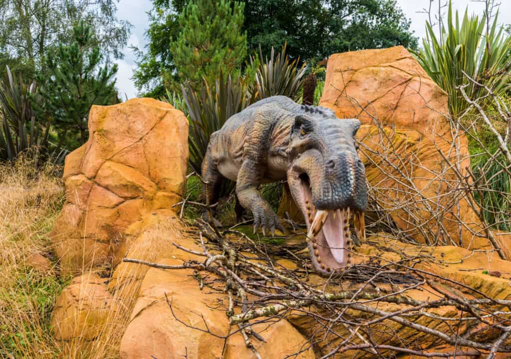 Gorgonopside