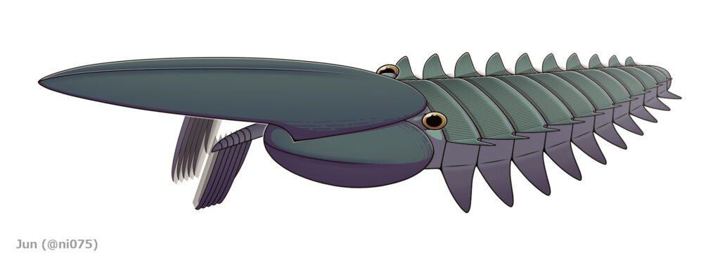 Egirocassi