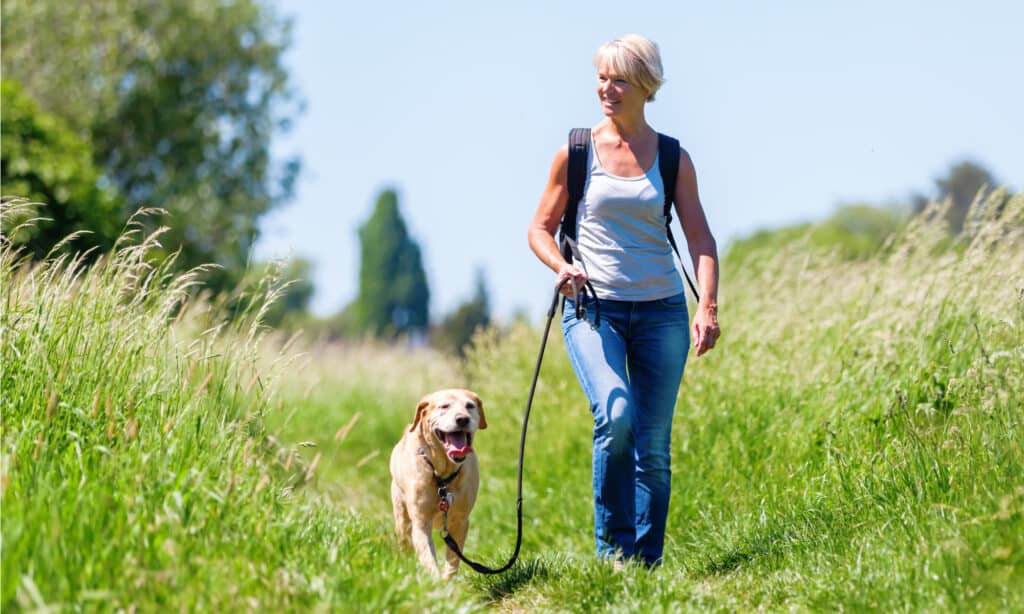 Sacchetti per la cacca per il tuo cane