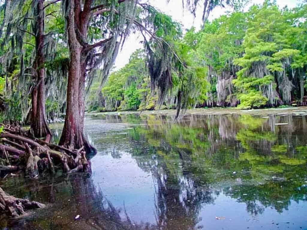 Lago Maurepas in Louisiana