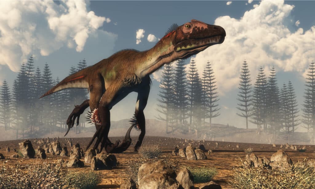 Utahraptor è il dinosauro ufficiale dello stato dello Utah.