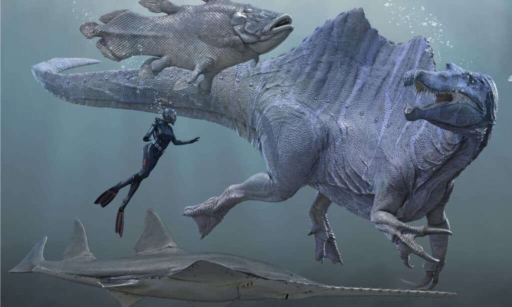 Spinosaurus con pesci preistorici