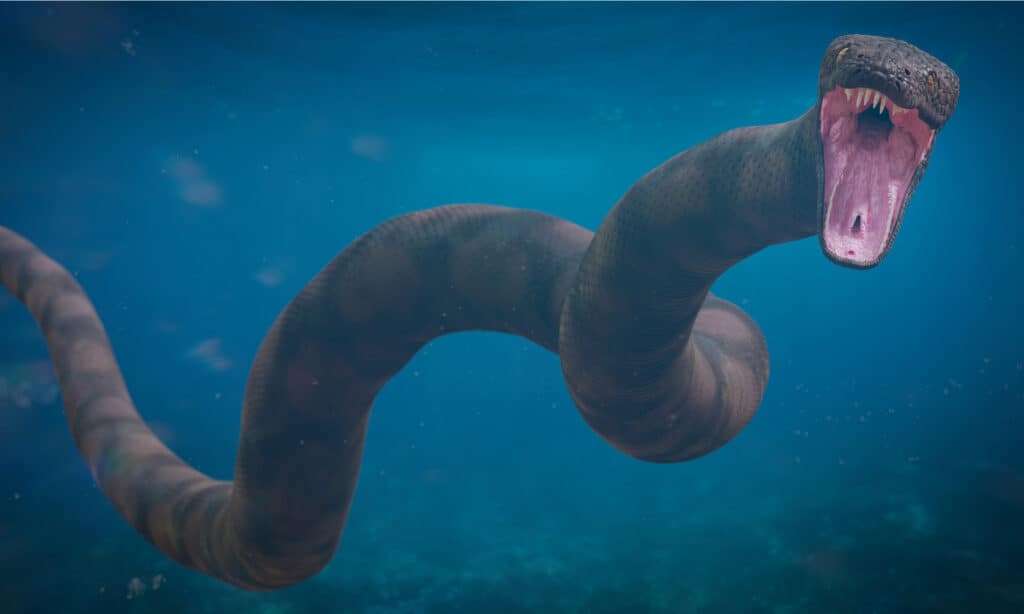 Titanoboa che nuota sott'acqua