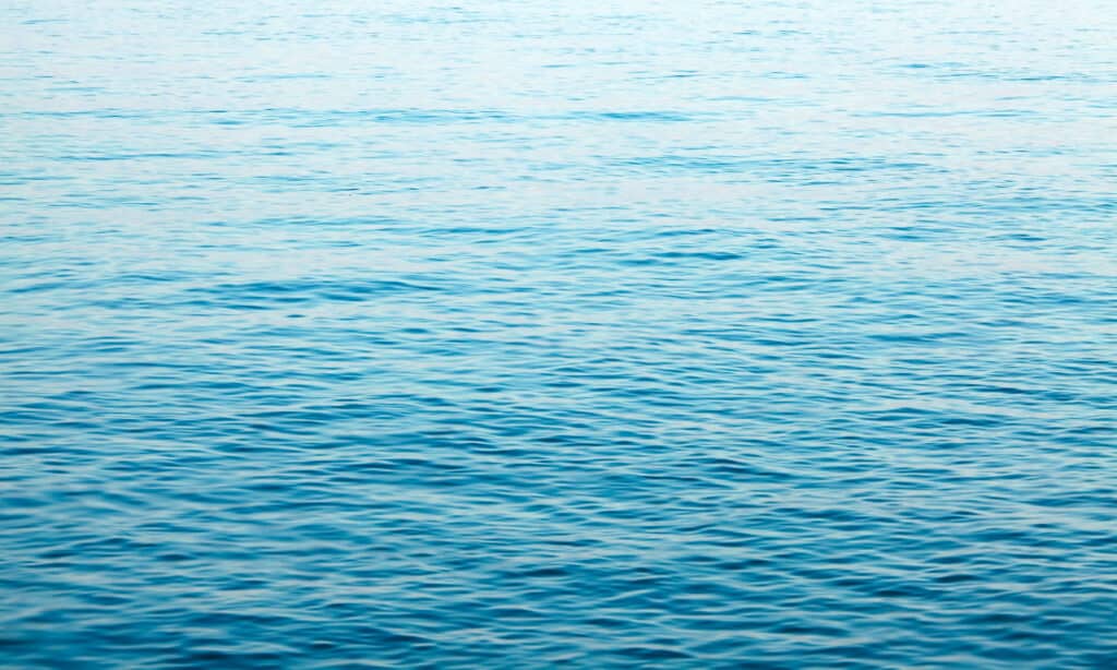 Acqua 