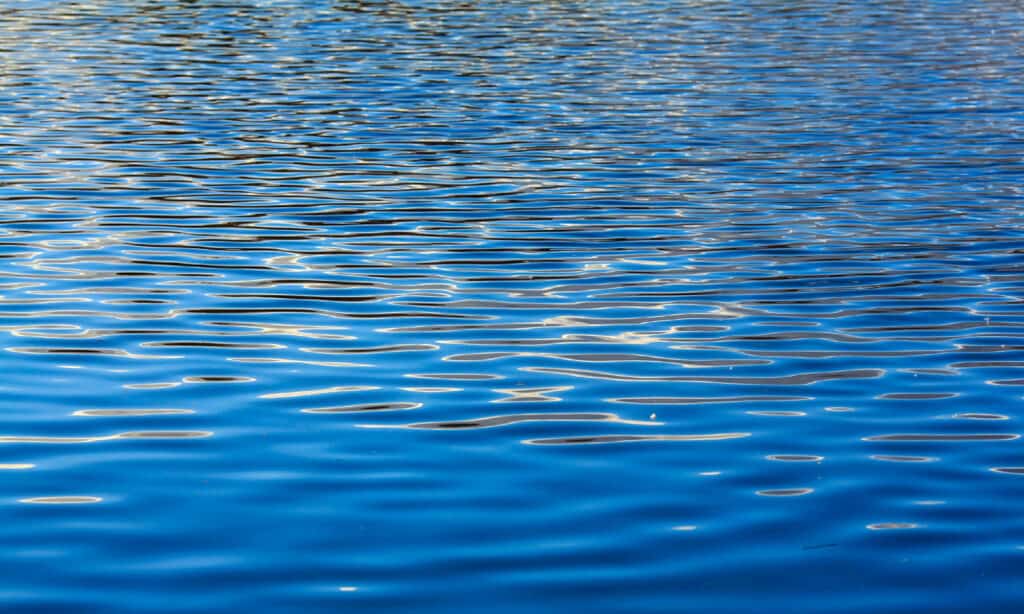 acqua