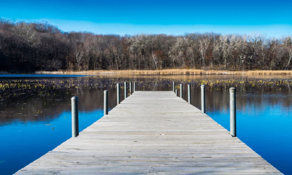 Lago dei boschi Minnesota