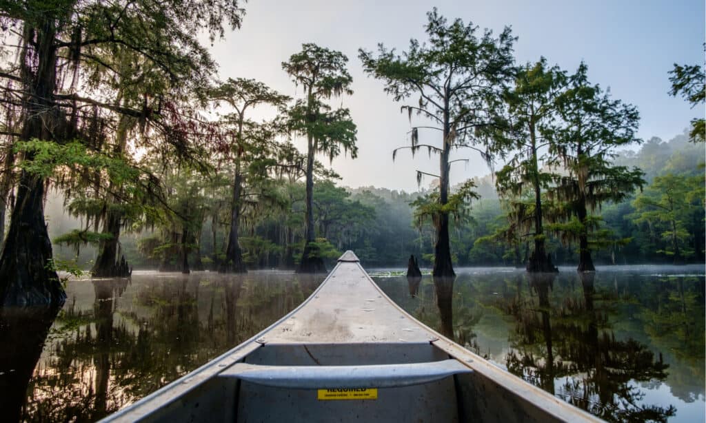 Caddo Lago Texas
